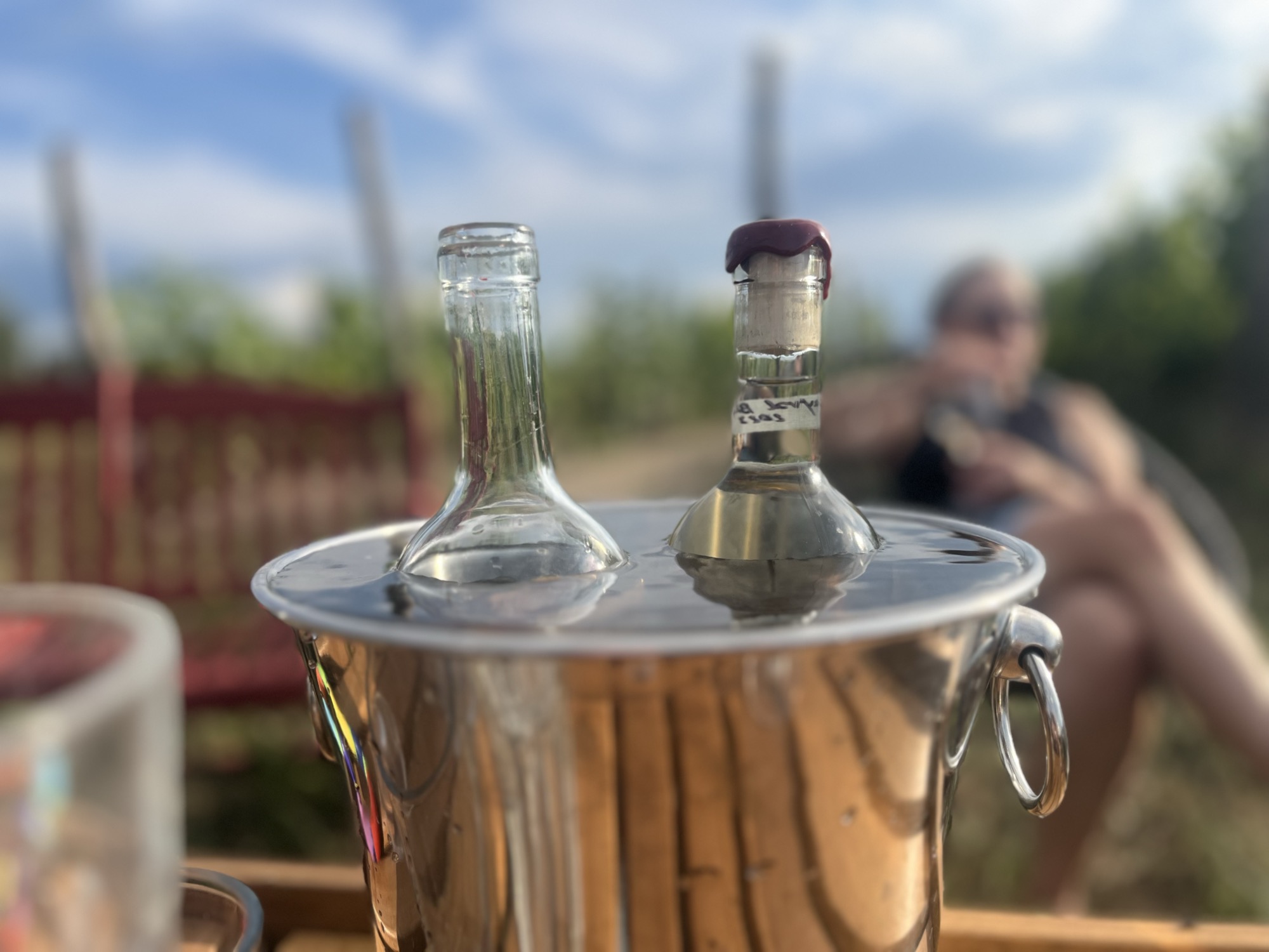 Prace polowe w winnicy — oprysk naturalny