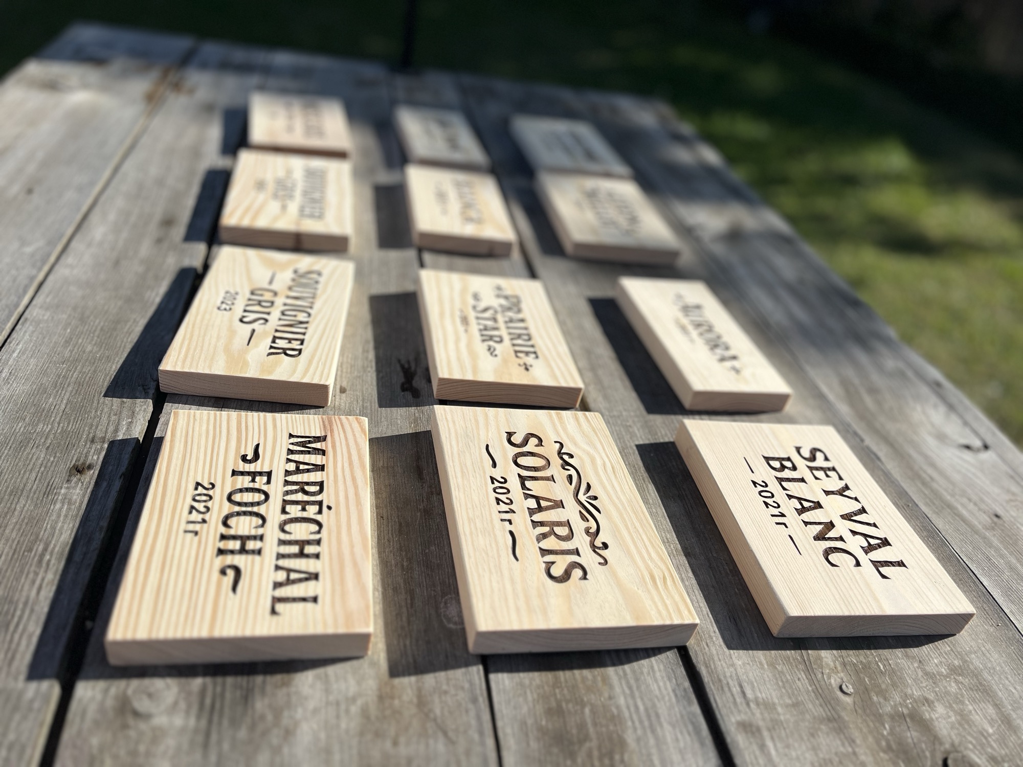 Etykiety win Winnicy Pustkowie — kolekcja